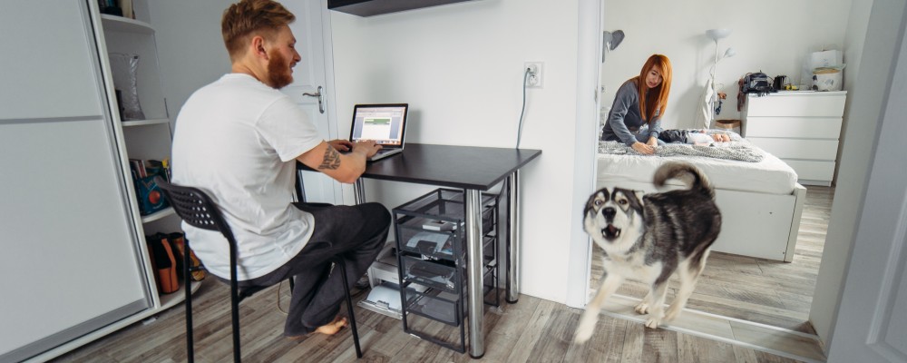 Cum să-i oprim pe câini din a lătra și să-i facem fericiți