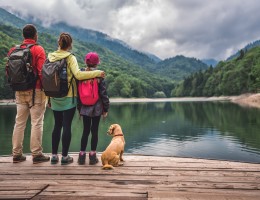 Sfaturi pentru calatorii epice cu cainele tau