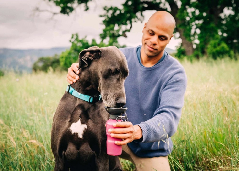 Highwave Auto Dog Mug sticla pentru caini 650 ml