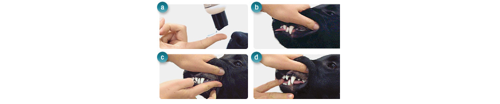 OralClean & Care Gel Forte