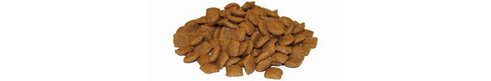 Hrana uscata pentru caini Flatazor Protect Senior+