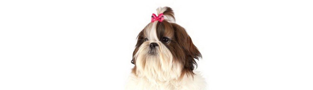 Fundite Argyle set 50 buc