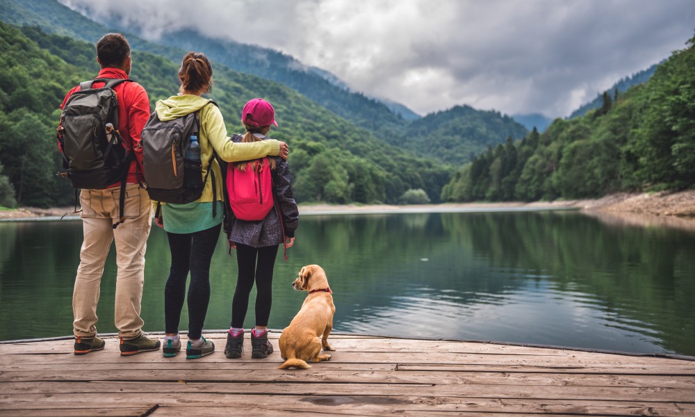 Sfaturi pentru calatorii epice cu cainele tau