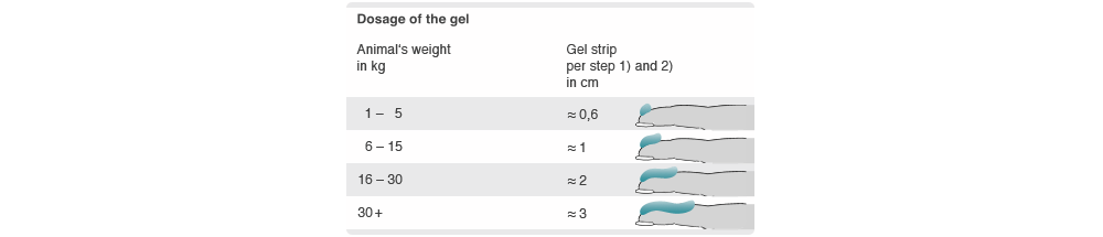 OralClean & Care Gel Wild Salmon