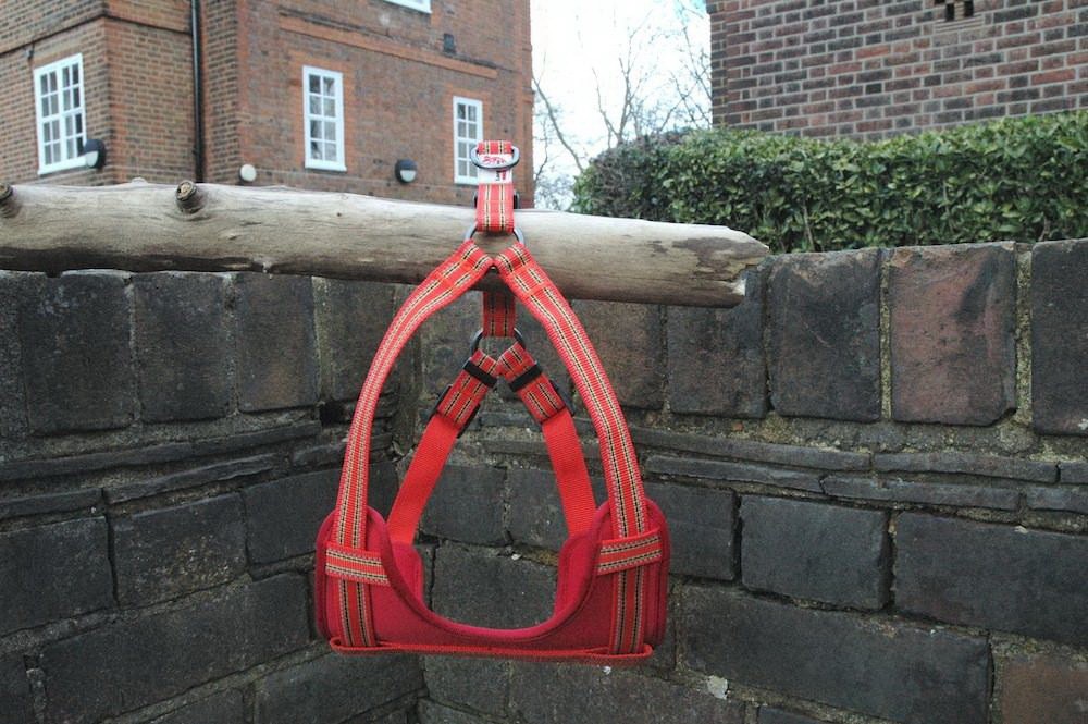 Lesa pentru caini Long Paws Comfort Collection