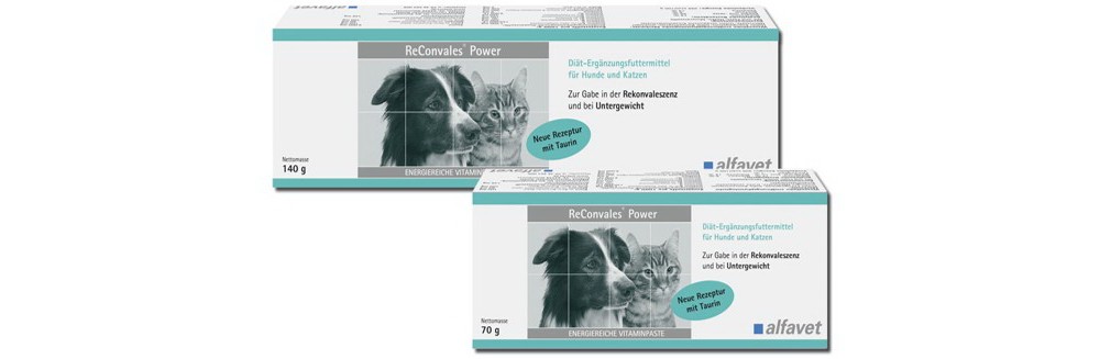 Reconvales POWER, ALFAVET pasta 140 g