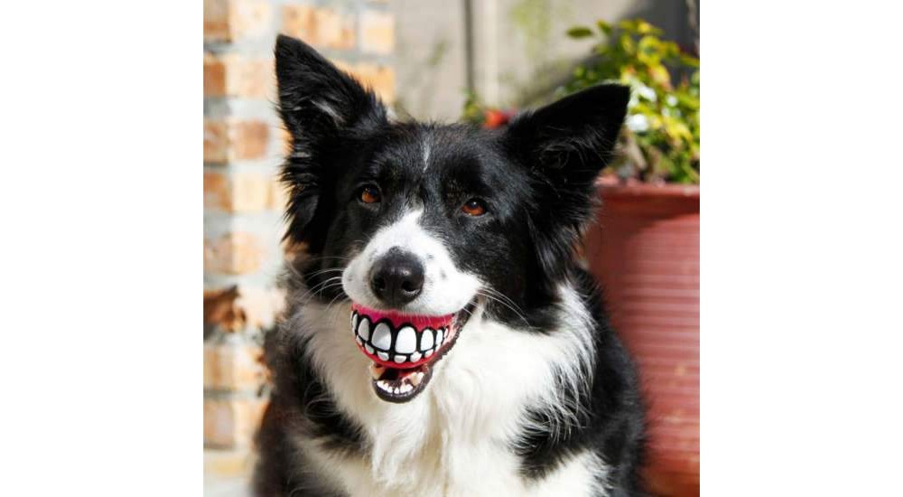 Rogz Grinz minge cu loc de recompense