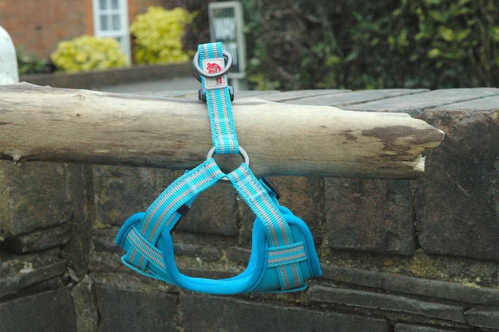 Lesa pentru caini Long Paws Comfort Collection