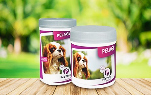 Suplimente nutritive