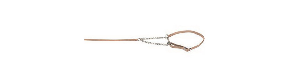 Lesa prezentare cu zgarda Combi Crem 0.7cmx140cm