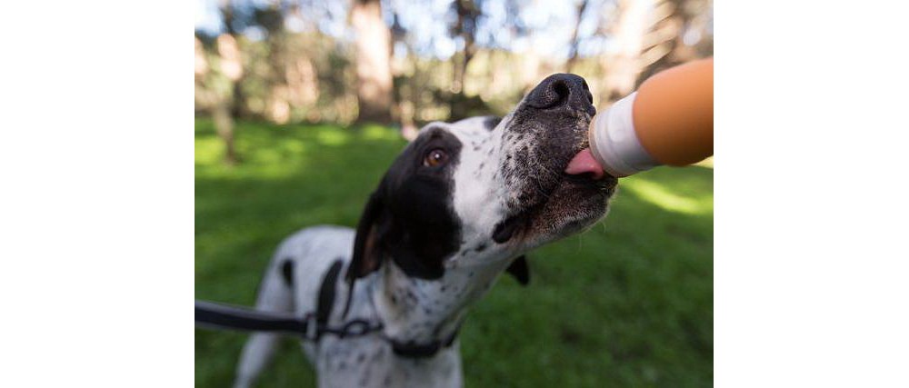 Recipient pt recompense semilichide sau cremoase