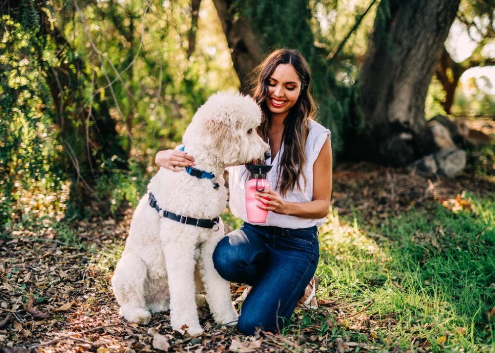 Highwave Auto Dog Mug sticla pentru caini 650 ml