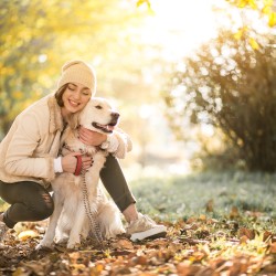 Viata cu un catel…-img