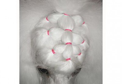 Benzi latex cul. naturala Top knot 1000 Buc