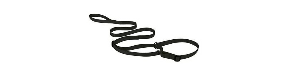 Show Tech Lesa de prezentare cu zgarda