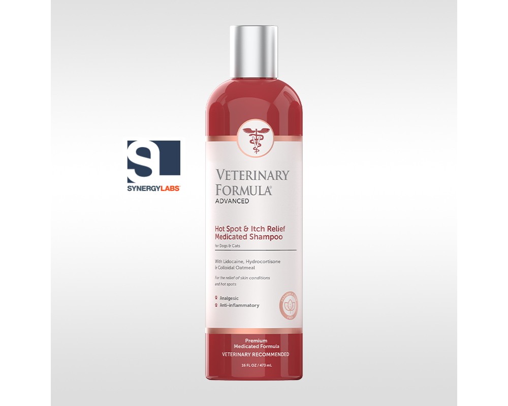 VFA Sampon Hot Spot, Synergy Labs, 473ml