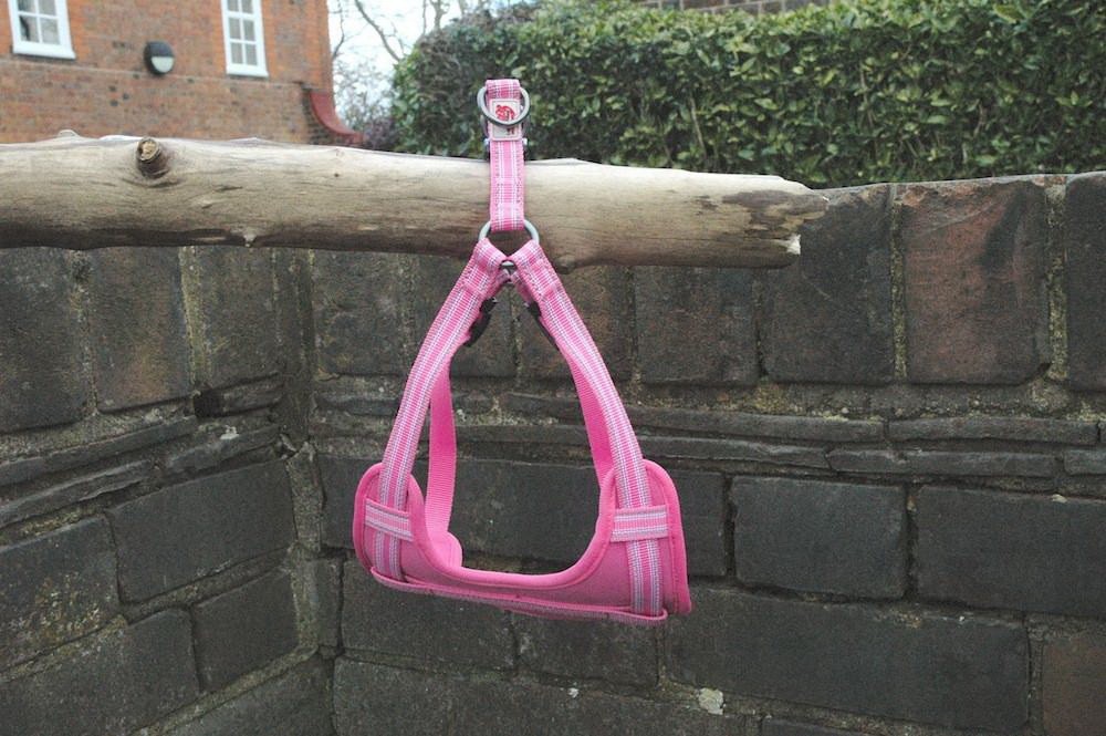 Lesa pentru caini Long Paws Comfort Collection