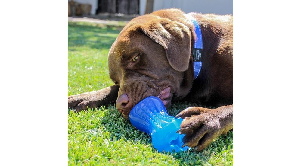 Jucarie pentru caini Rogz Yumz