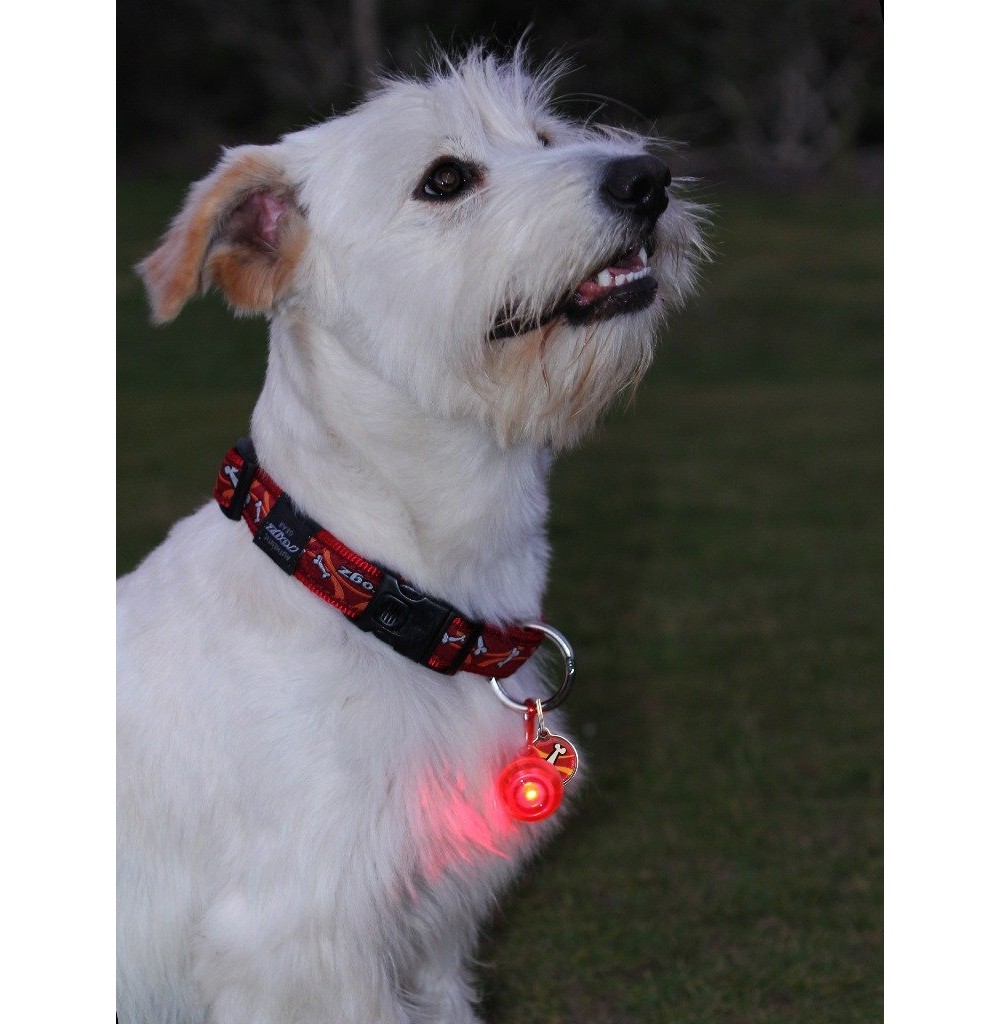 Dispozitiv lumions Rogz pentru atentionare