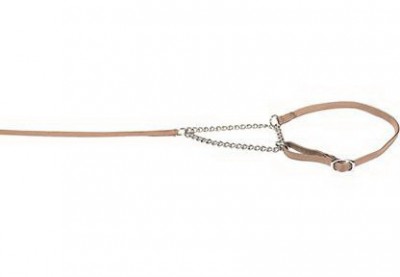 Lesa prezentare cu zgarda Combi Crem 0.7cmx140cm